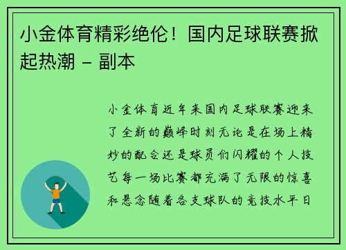 小金体育精彩绝伦！国内足球联赛掀起热潮 - 副本